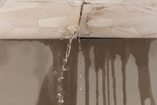 Professional Burst Pipe Cleanup technician working in Bloomington, IL